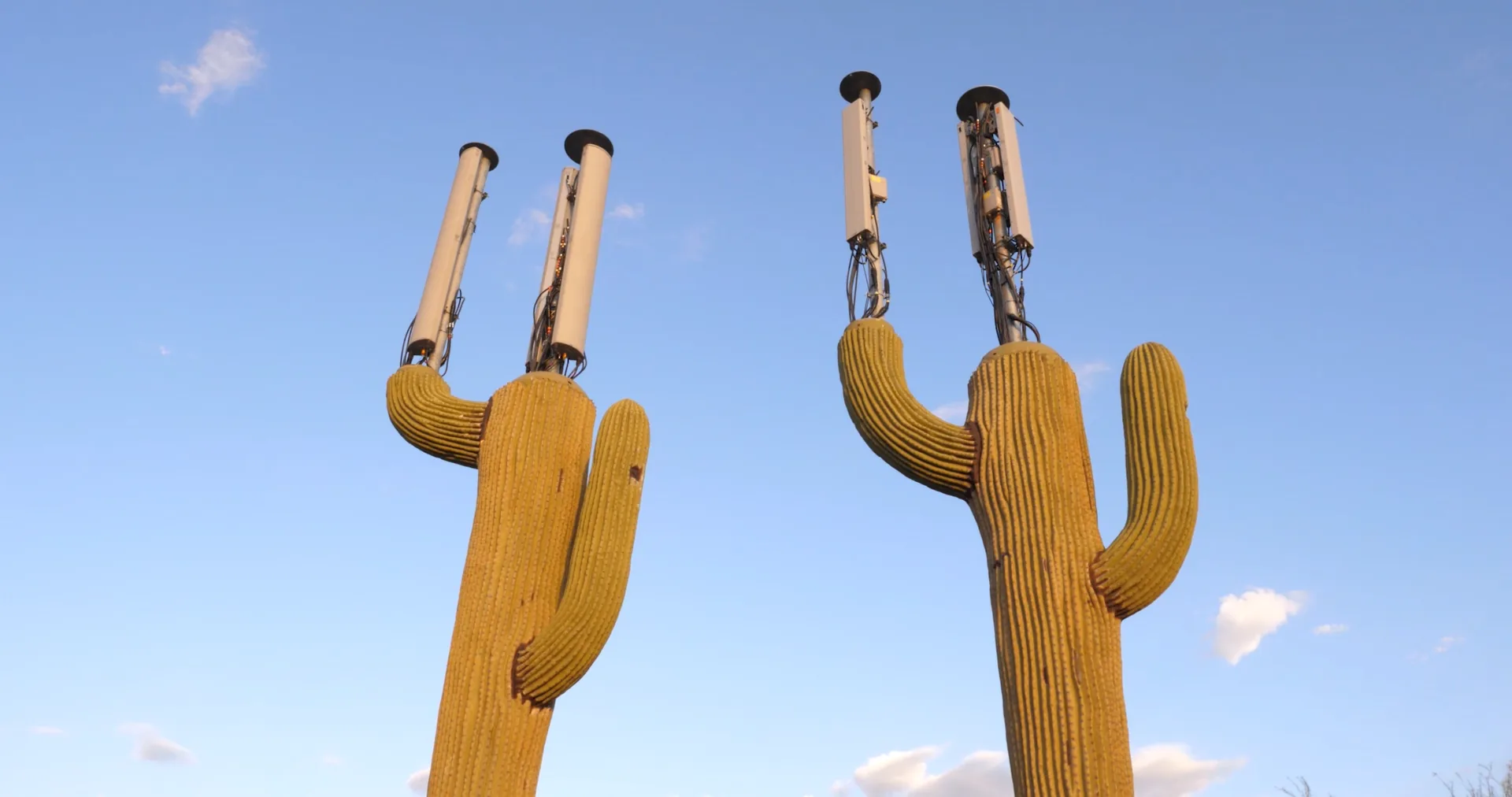 Kayaking film still with cactus forms against a blue sky